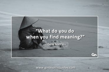 What do you do when you find meaning GinoNorrisQuotes