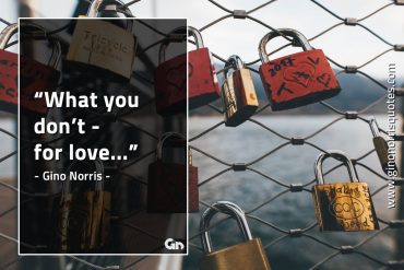 What you dont for love GinoNorrisQuotes