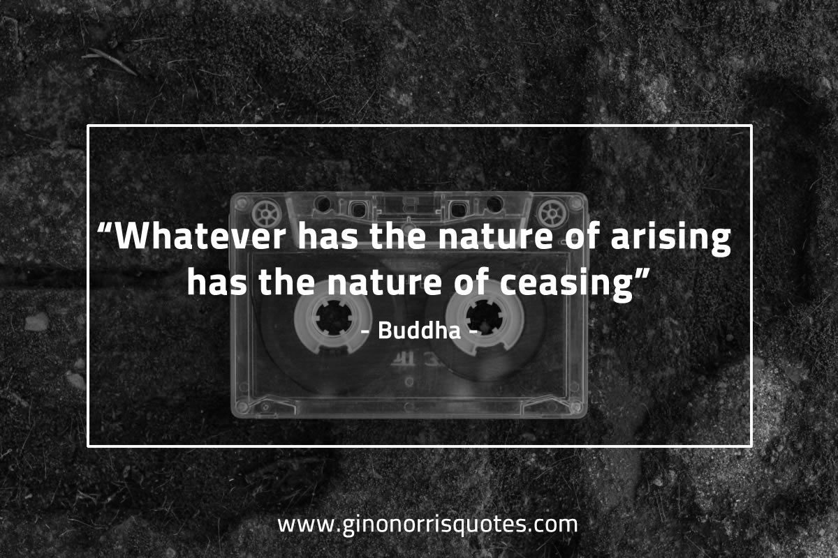 Whateve has the nature of arising BuddhaQuotes