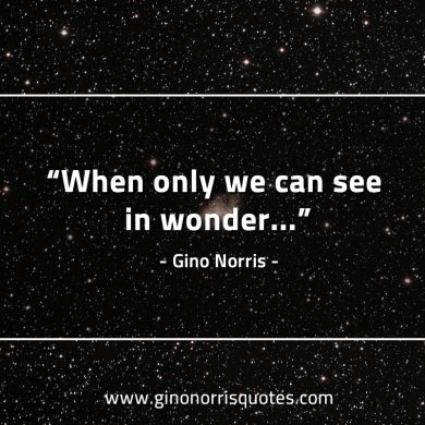 When only we can see in wonder GinoNorrisQuotes