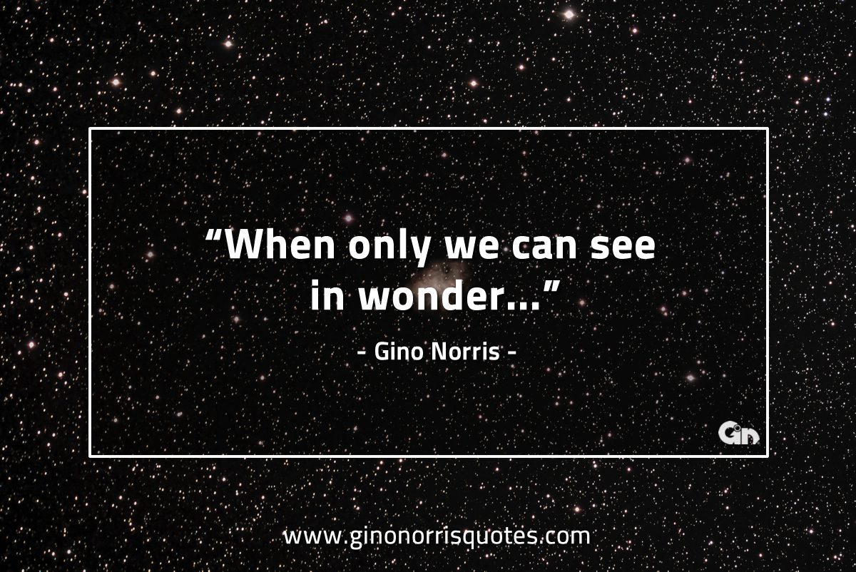 When only we can see in wonder GinoNorrisQuotes