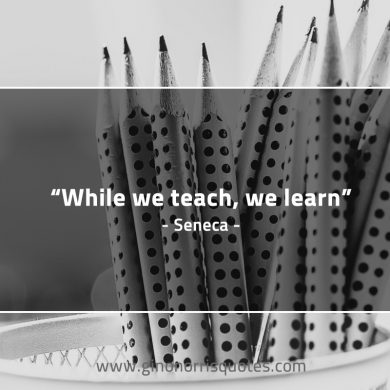 While we teach we learn SenecaQuotes