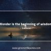 Wonder is the beginning of wisdom SocratesQuotes