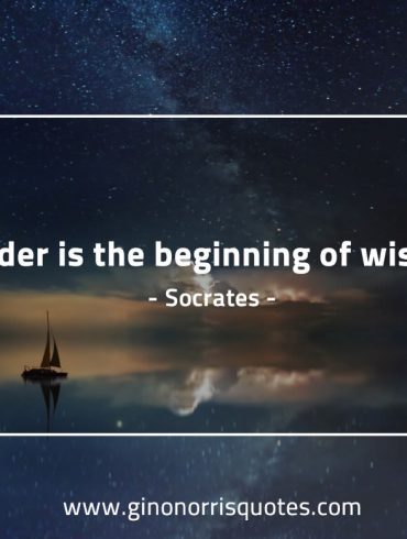 Wonder is the beginning of wisdom SocratesQuotes