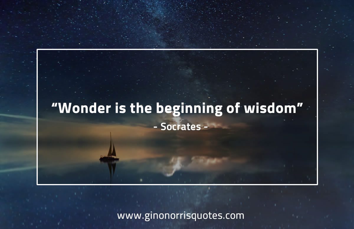 Wonder is the beginning of wisdom SocratesQuotes