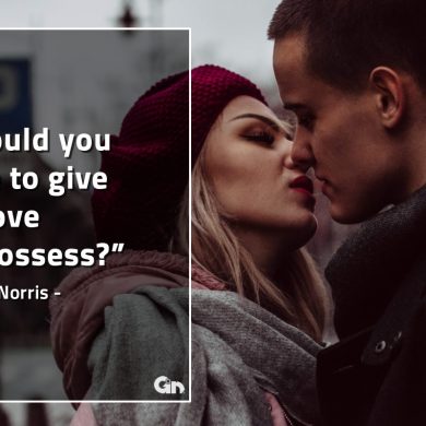 Would you love to give or GinoNorrisQuotes