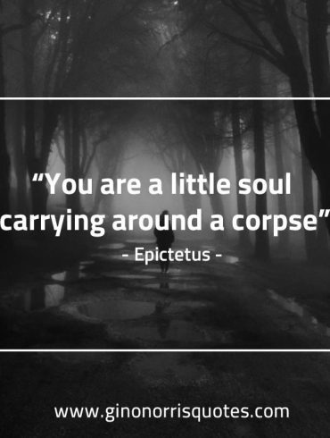 You are a little soul EpictetusQuotes