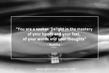 You are a seeker BuddhaQuotes