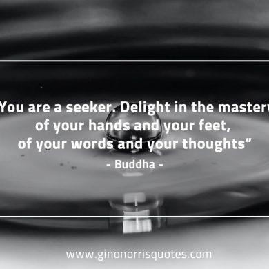 You are a seeker BuddhaQuotes