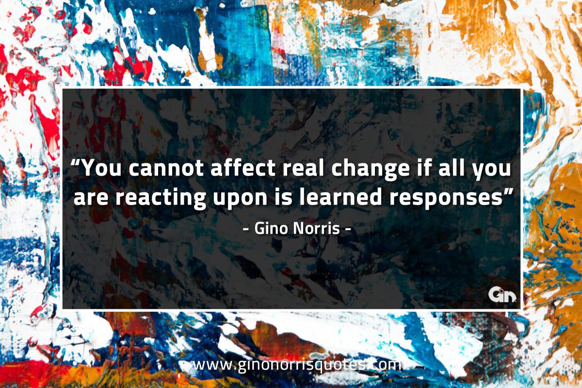 You cannot affect real change GinoNorrisQuotes