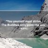 You yourself must strive BuddhaQuotes