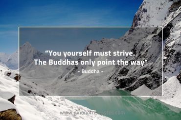 You yourself must strive BuddhaQuotes