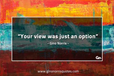 Your view was just an option GinoNorrisQuotes