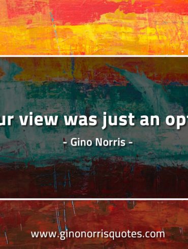 Your view was just an option GinoNorrisQuotes