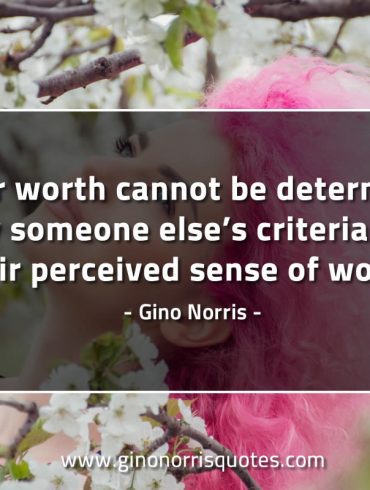 Your worth cannot be determined GinoNorrisQuotes