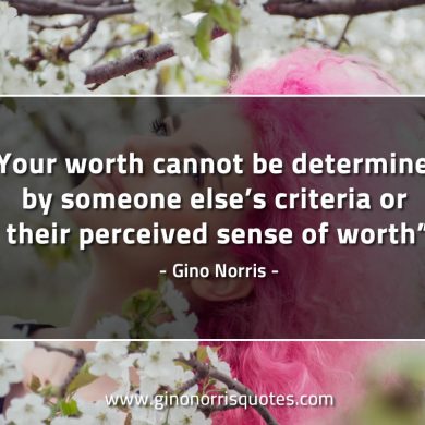 Your worth cannot be determined GinoNorrisQuotes