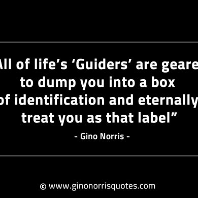 All of lifes Guiders are geared GinoNorrisINTJQuotes