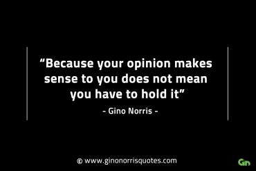 Because your opinion makes sense to you GinoNorrisINTJQuotes