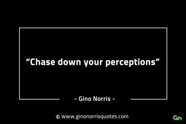 Chase down your perceptions GinoNorrisINTJQuotes