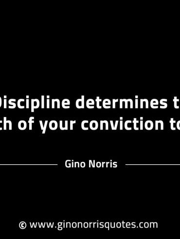 Discipline determines the strength GinoNorrisINTJQuotes