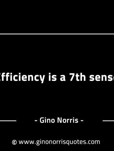 Efficiency is a 7th sense GinoNorrisINTJQuotes