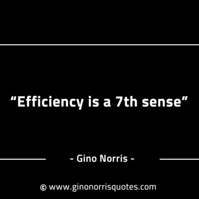 Efficiency is a 7th sense GinoNorrisINTJQuotes