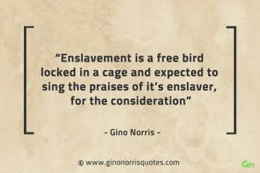 Enslavement is a free bird locked in a cage GinoNorrisQuotes