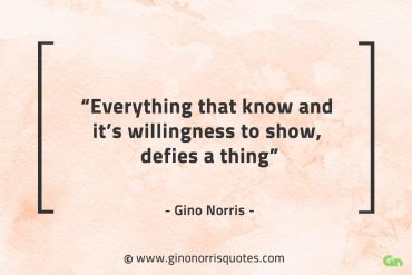 Everything that know GinoNorrisQuotes