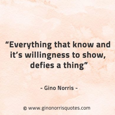 Everything that know GinoNorrisQuotes