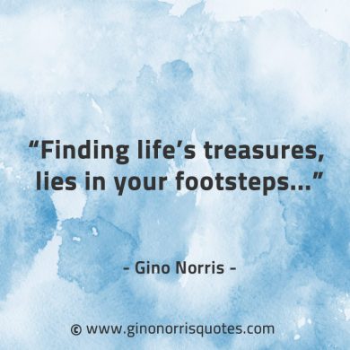 Finding lifes treasures GinoNorrisQuotes