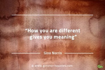 How you are different gives you meaning GinoNorrisQuotes