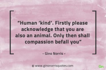 Human kind GinoNorrisQuotes