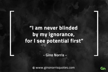 I am never blinded by my ignorance GinoNorrisQuotes