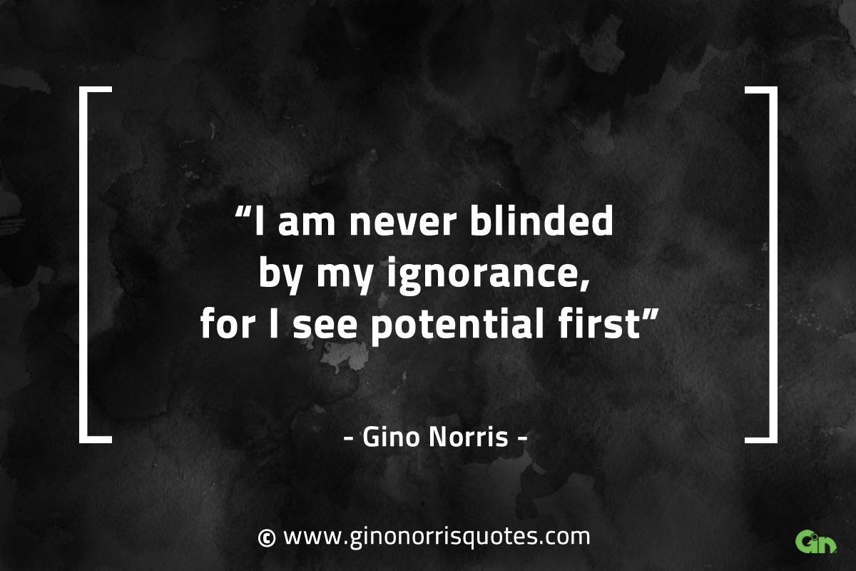 I am never blinded by my ignorance GinoNorrisQuotes