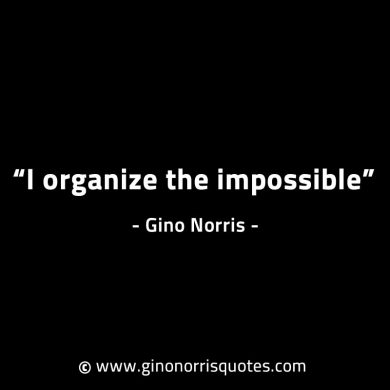 I organize the impossible GinoNorrisINTJQuotes