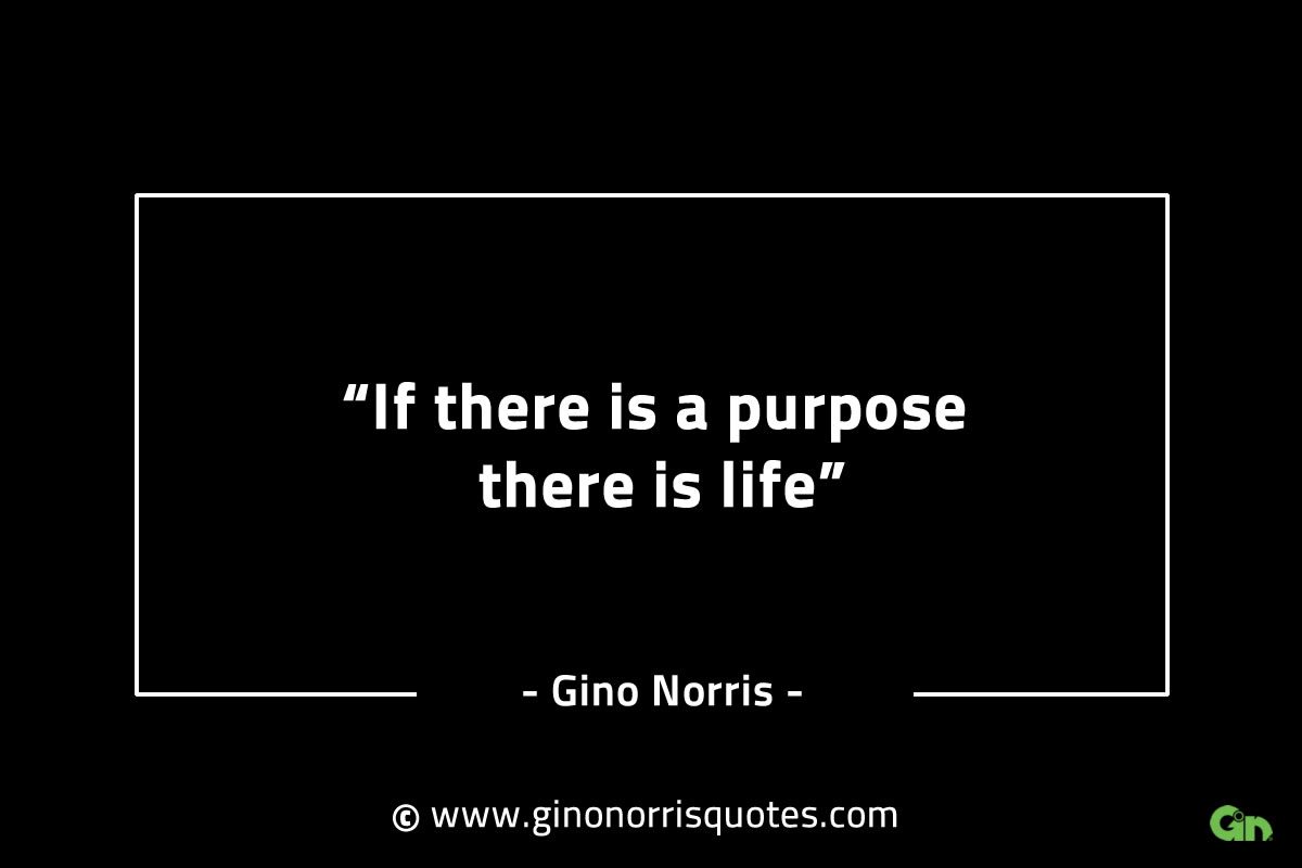 If there is a purpose there is life GinoNorrisINTJQuotes