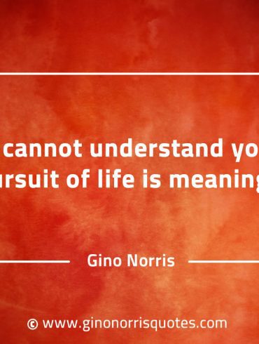 If you cannot understand yourself GinoNorrisQuotes