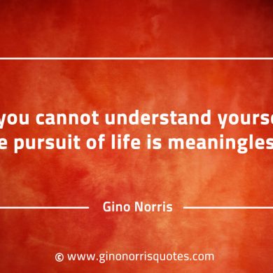 If you cannot understand yourself GinoNorrisQuotes