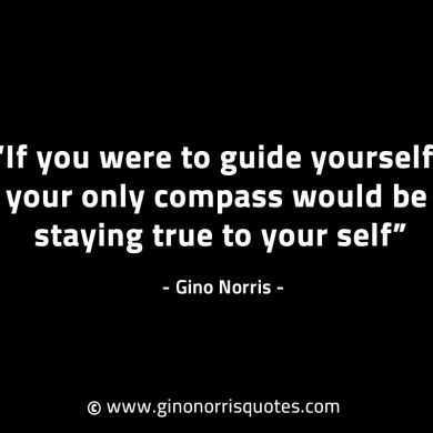 If you were to guide yourself GinoNorrisINTJQuotes