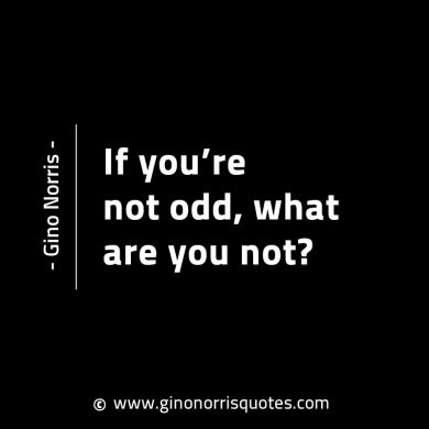 If youre not odd what are you not GinoNorrisINTJQuotes