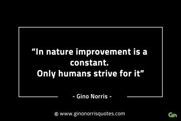 In nature improvement is a constant GinoNorrisINTJQuotes