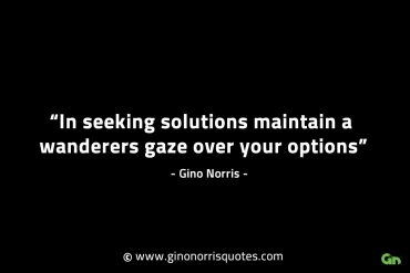 In seeking solutions maintain GinoNorrisINTJQuotes