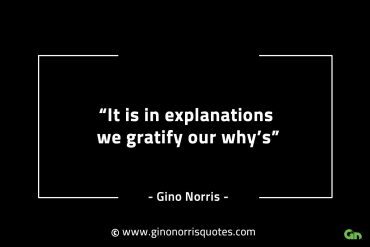 It is in explanations we gratify our whys GinoNorrisINTJQuotes