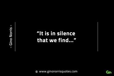 It is in silence that we find GinoNorrisINTJQuotes