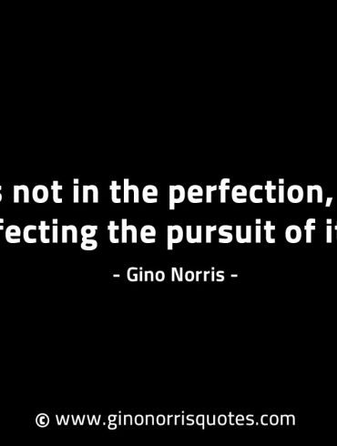 It is not in the perfection GinoNorrisINTJQuotes