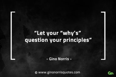 Let your whys question your principles GinoNorrisQuotes