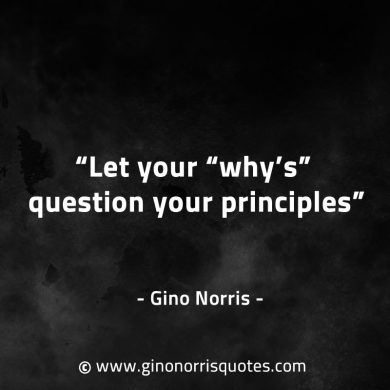 Let your whys question your principles GinoNorrisQuotes