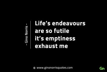 Lifes endeavours are so futile GinoNorrisINTJQuotes