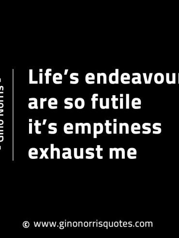 Lifes endeavours are so futile GinoNorrisINTJQuotes