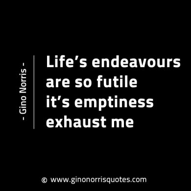 Lifes endeavours are so futile GinoNorrisINTJQuotes